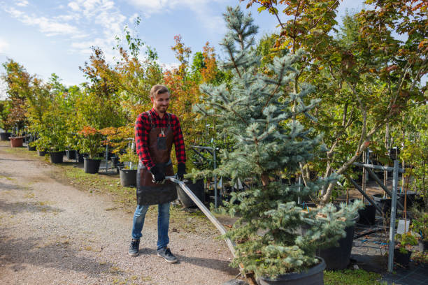  Newport, WA Tree Removal and Landscaping Services Pros